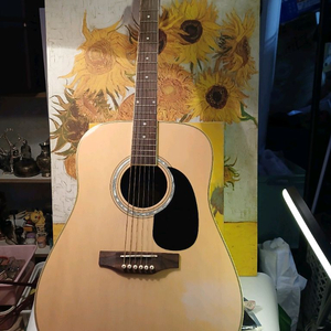 일렉기타 + 기타가방 세트