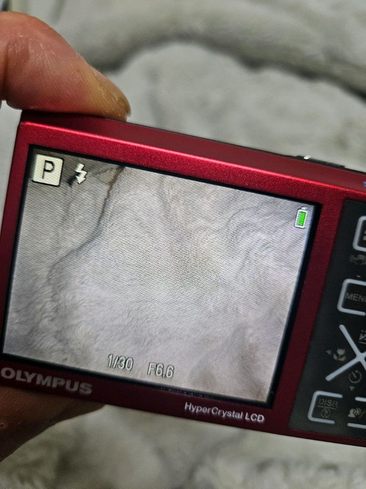 올림푸스 뮤 1040 빈티지 디카 레트로카메라 이미지