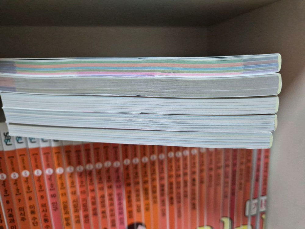 사회뒤집기 이미지