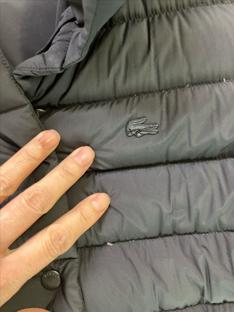 라코스테 오리털 패딩 마인 시스템 무신사 오즈세컨 구호 코스 빈폴 닥스 타미 타임 코스 랑방 이미지