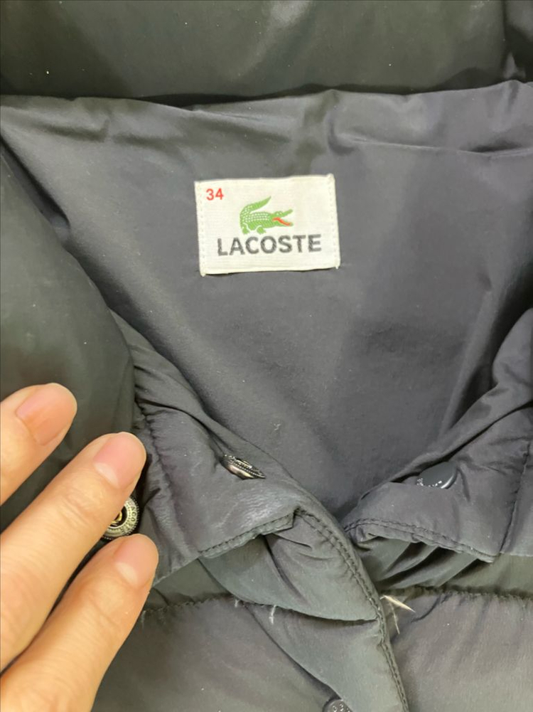 라코스테 오리털 패딩 마인 시스템 무신사 오즈세컨 구호 코스 빈폴 닥스 타미 타임 코스 랑방 이미지