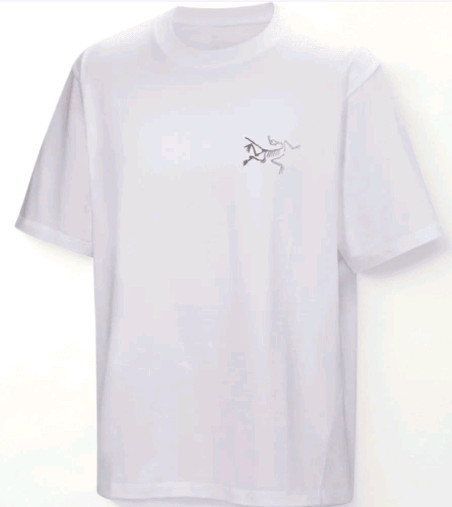 아크테릭스 반팔티--3