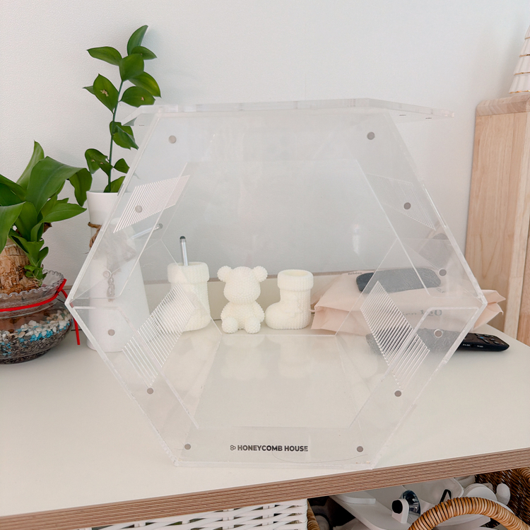 허니컴하우스 육각 사육장 아크릴 사육장 케이지 피그미, 도마뱀, 크레--5