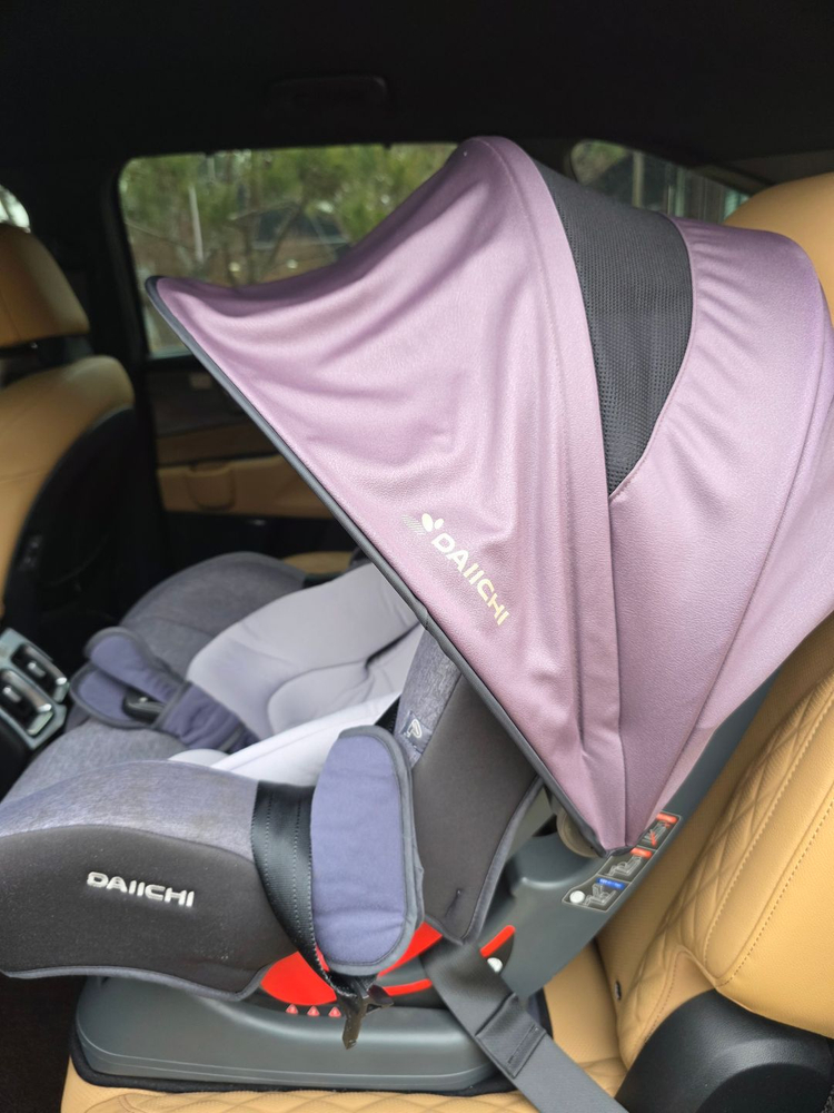 다이치 / 피코 카시트 이미지