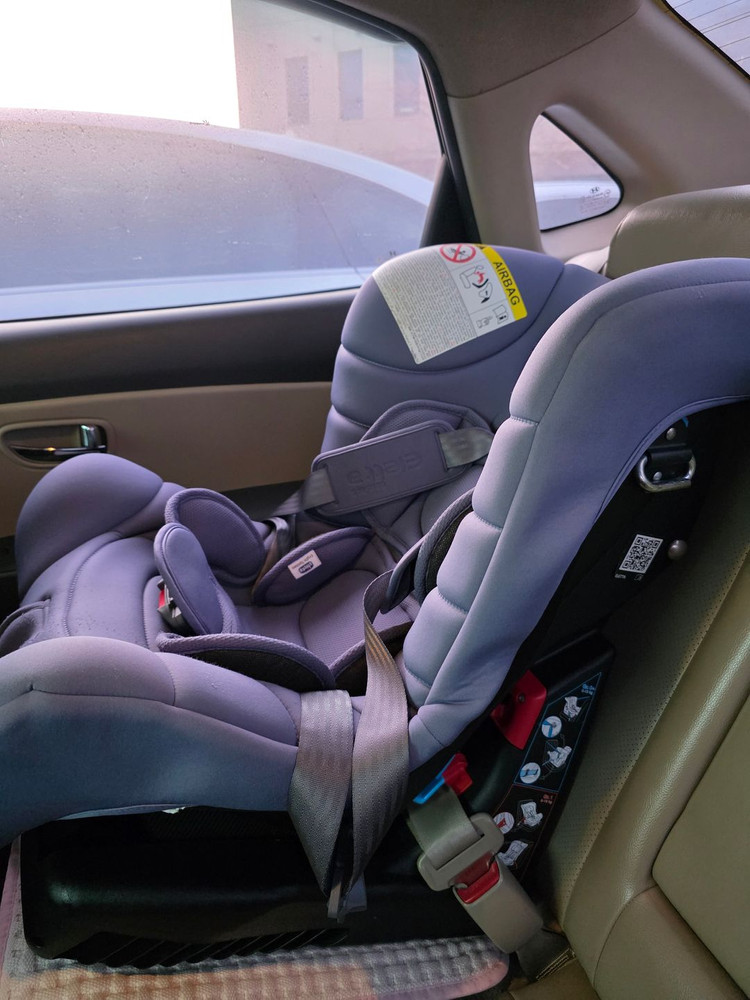 다이치 / 피코 카시트 이미지