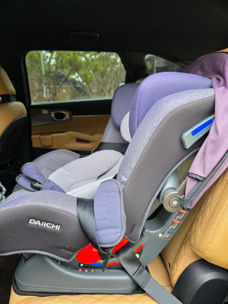 다이치 / 피코 카시트 이미지