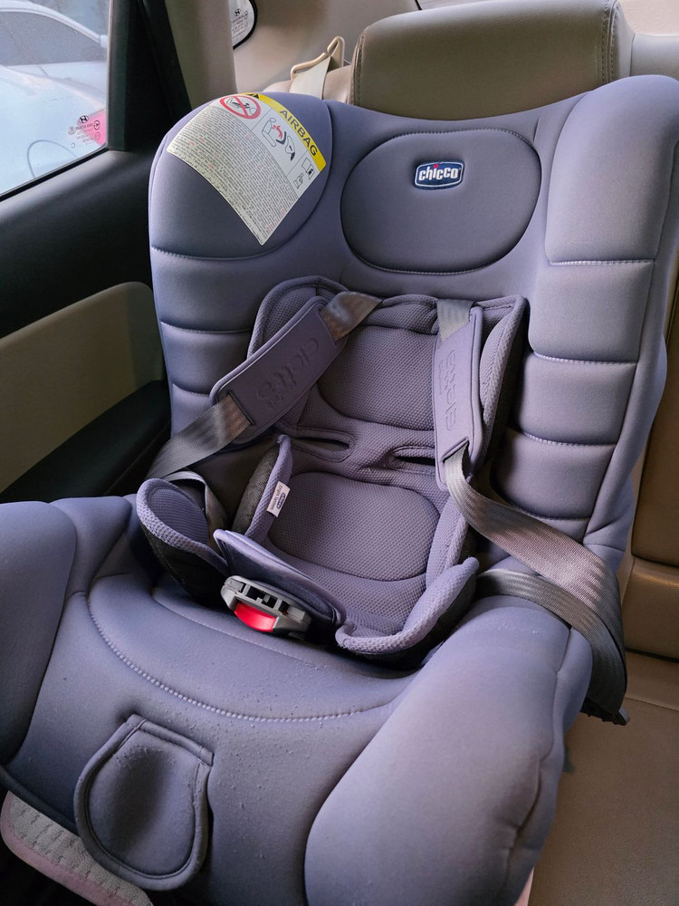 다이치 / 피코 카시트 이미지