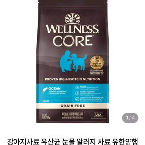 웰니스 코어 강아지 1.8키로 사료