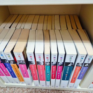 중고도서) 민음사 세계문학전집 172권