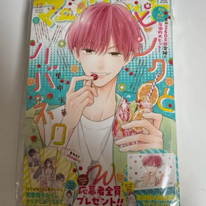 마가렛 핑크와 하바네로 순정만화 잡지 이미지