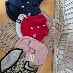 소형강아지옷S/M 총4장다드림