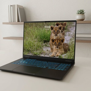 [S급/풀박스] ASUS TUF A16 게이밍 노트북 (RTX5070 / 램 32GB / 윈11 정품) 판매합니다