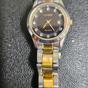 시티즌다이아시계