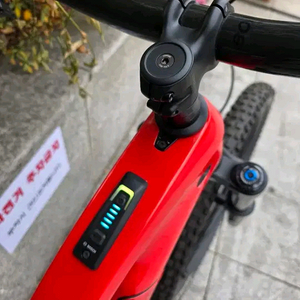 전기자전거emtb 트렉 레일 9.9 판매