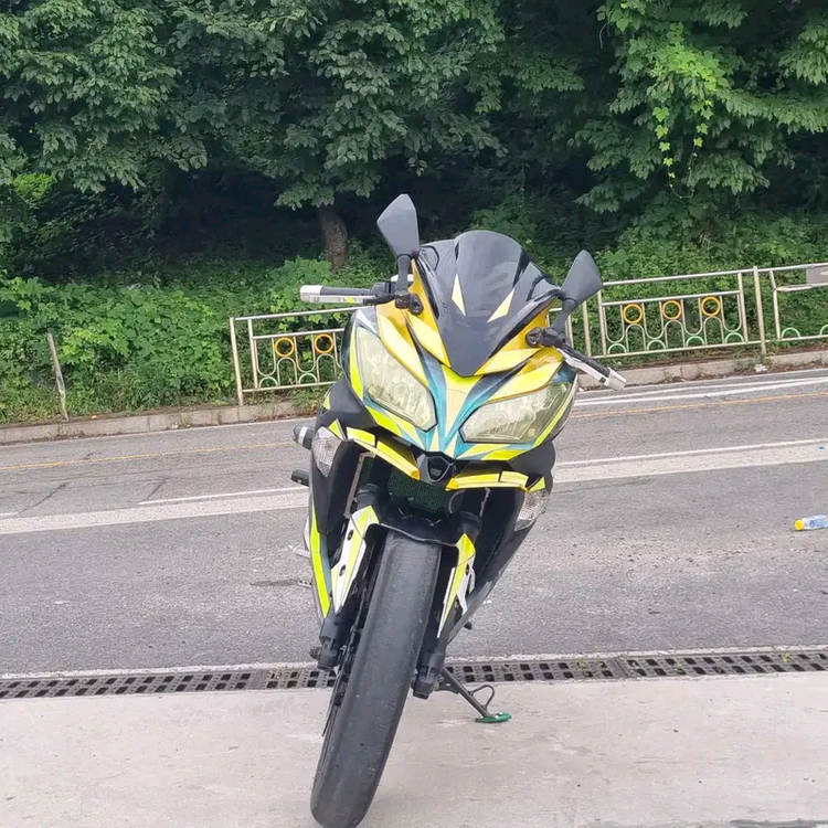 2015년식 가와사키 닌자 300--1