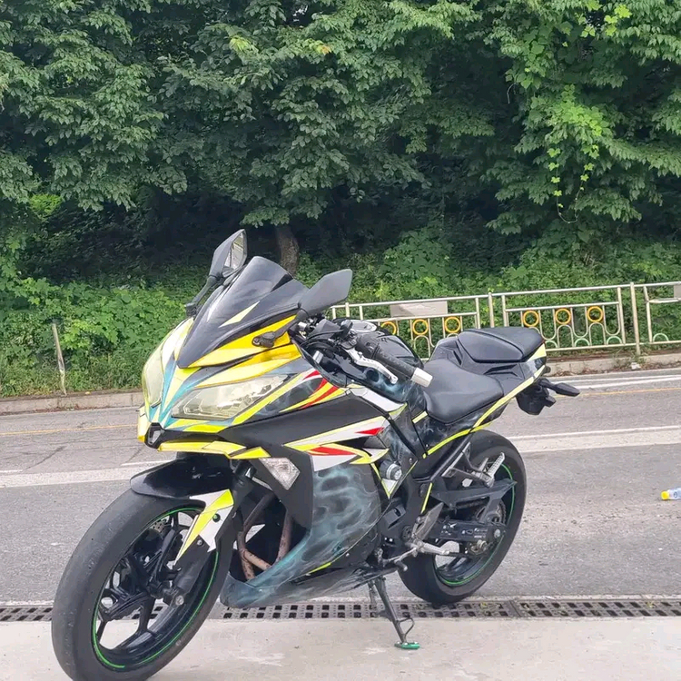 2015년식 가와사키 닌자 300--2