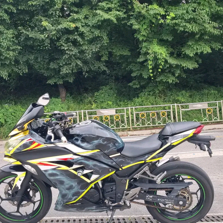 2015년식 가와사키 닌자 300--3