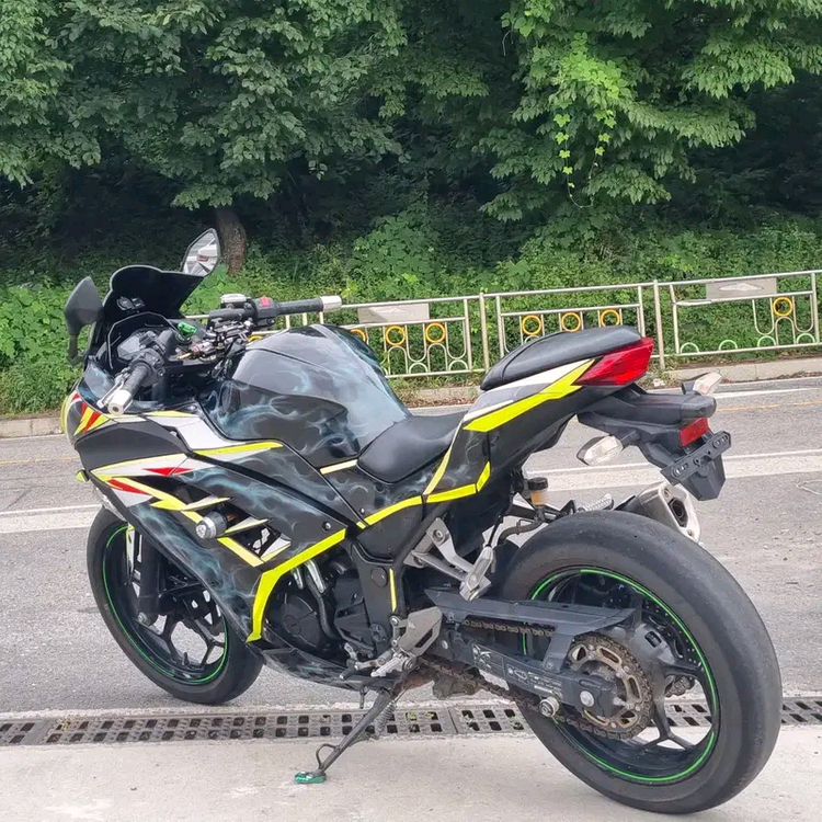 2015년식 가와사키 닌자 300--4