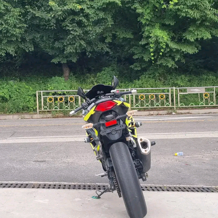 2015년식 가와사키 닌자 300--5