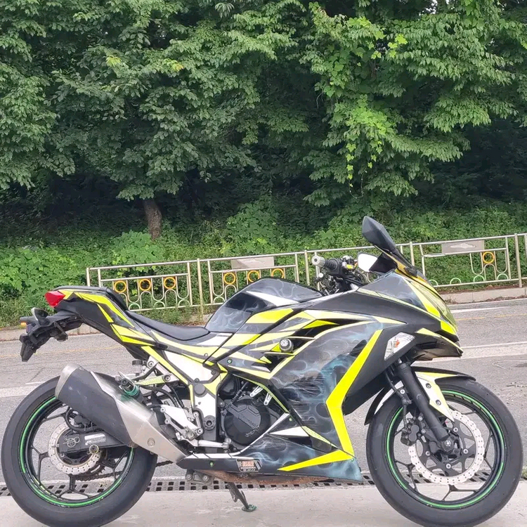 2015년식 가와사키 닌자 300--7