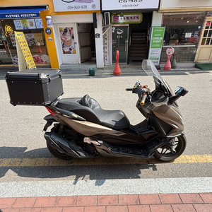 포르자350 25년식 이미지