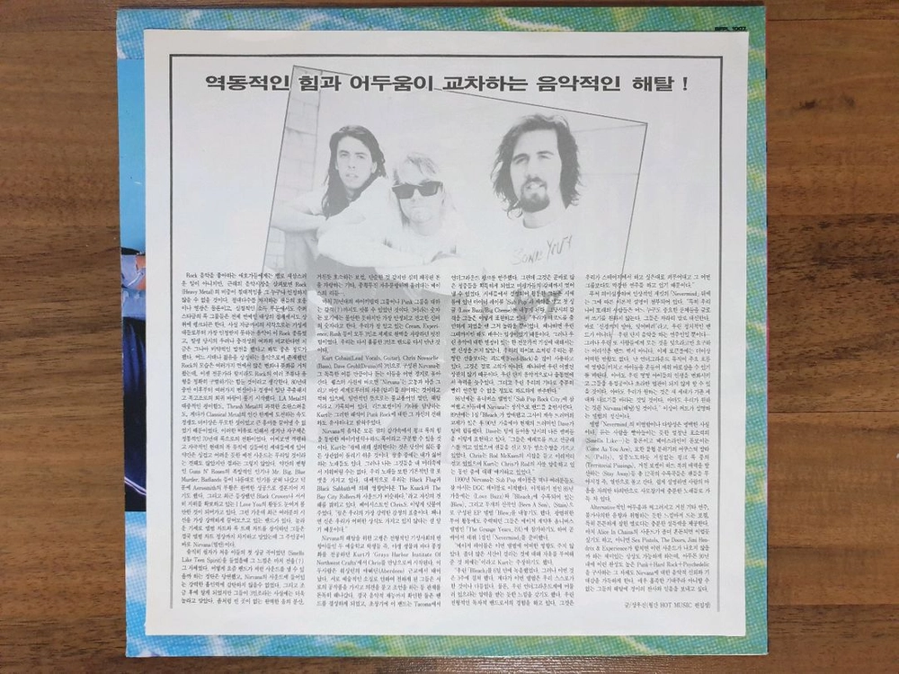 Nirvana Nevermind Brown LP 이미지