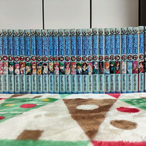 (만화) 특공천녀 (1~30, 외전) [하야시 미사키] (총 31권, 완결)