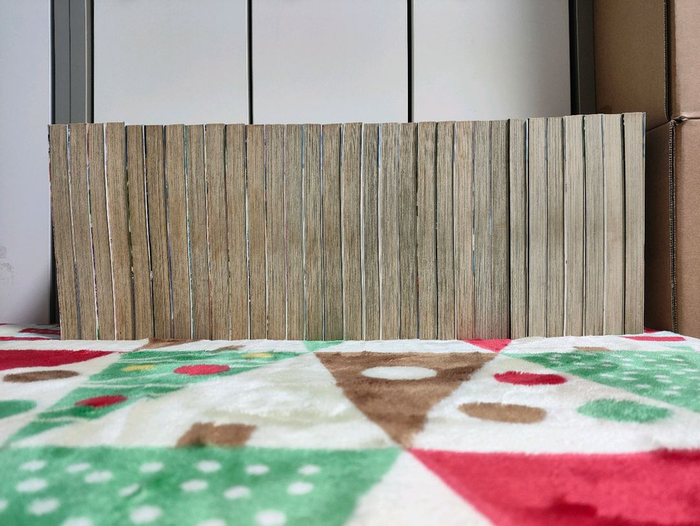 (만화) 특공천녀 (1~30, 외전) [하야시 미사키] (총 31권, 완결)--2