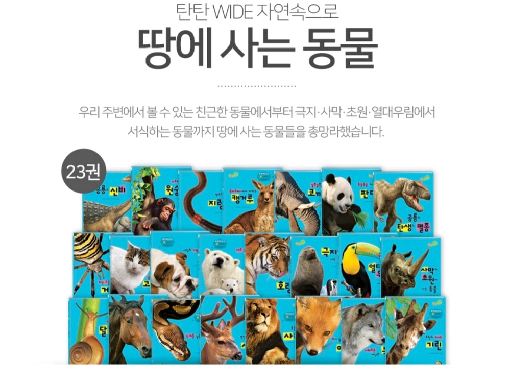 탄탄와이드자연속으로(쎄이펜되는책입니다) 이미지