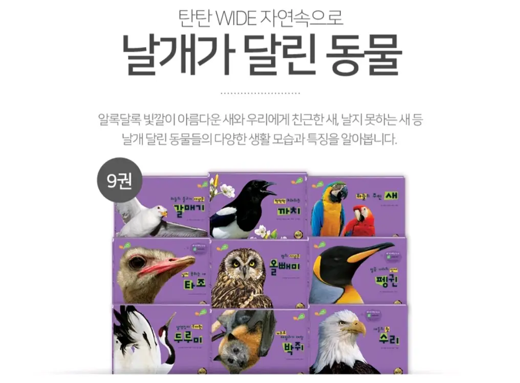 탄탄와이드자연속으로(쎄이펜되는책입니다) 이미지