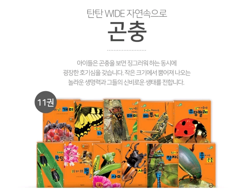 탄탄와이드자연속으로(쎄이펜되는책입니다) 이미지