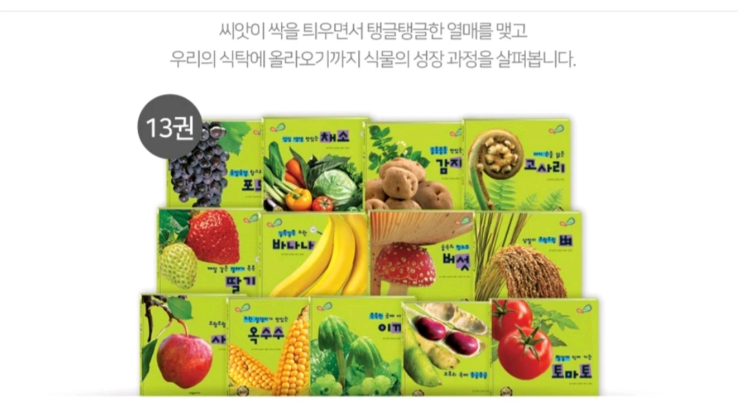 탄탄와이드자연속으로(쎄이펜되는책입니다) 이미지