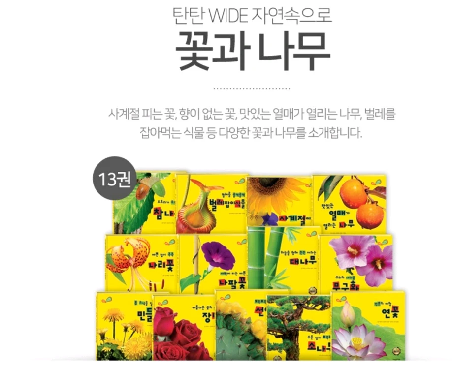 탄탄와이드자연속으로(쎄이펜되는책입니다) 이미지
