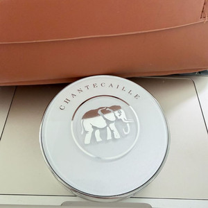 샹테카이 퓨처 스킨 쿠션 아우라