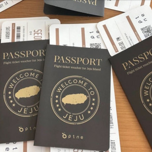 파인제주 VIP 여행권 제주 2인 왕복 항공권 이미지