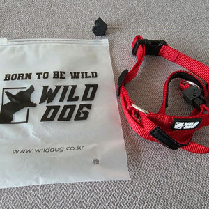 강아지 훈련용품. 이미지