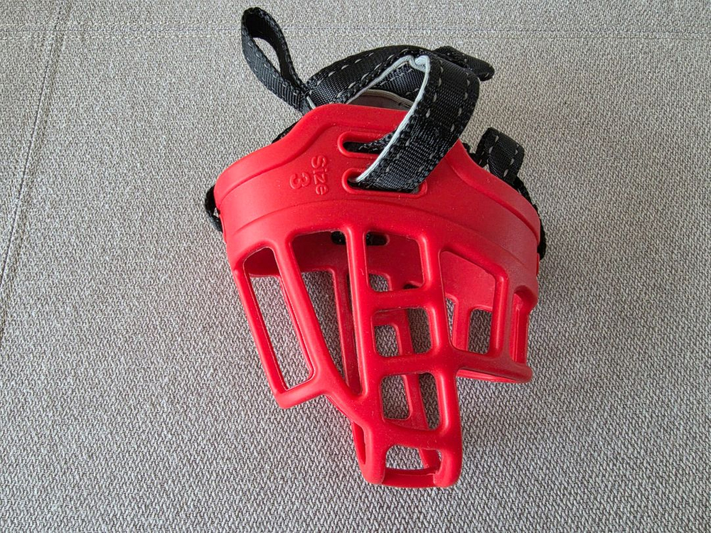 강아지 훈련용품. 이미지