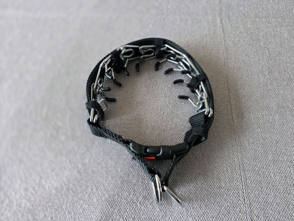 강아지 훈련용품. 이미지