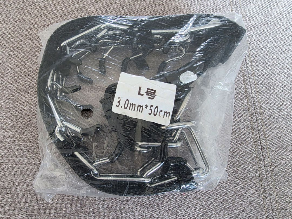 강아지 훈련용품. 이미지