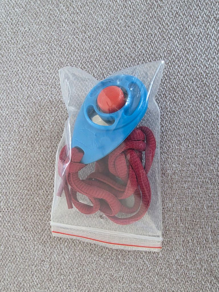 강아지 훈련용품. 이미지