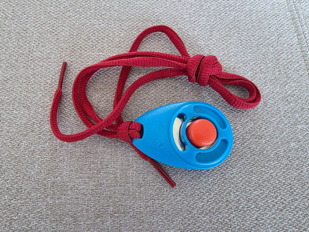 강아지 훈련용품. 이미지