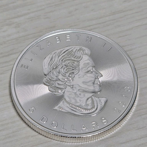 캐나다 메이플 리프 1온스 순은화 (.9999) - 상태 최상 (수량10개) 이미지