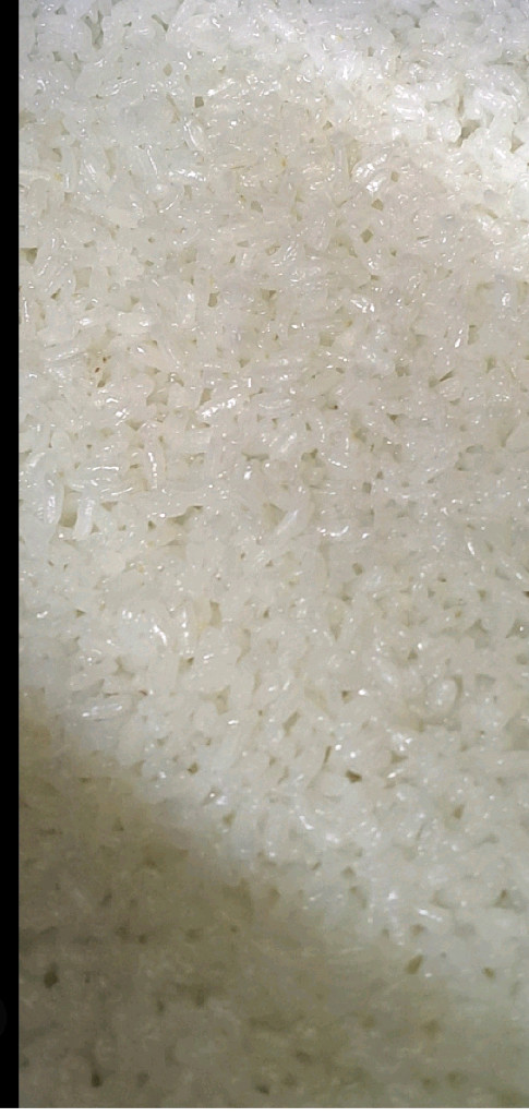 인덕션 겸용 6인용 풍년 압력밥솥 (벌집 후라이팬 덤) 이미지