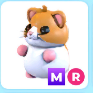 입양하세요 메가네온 햄스터 팔아여 이미지