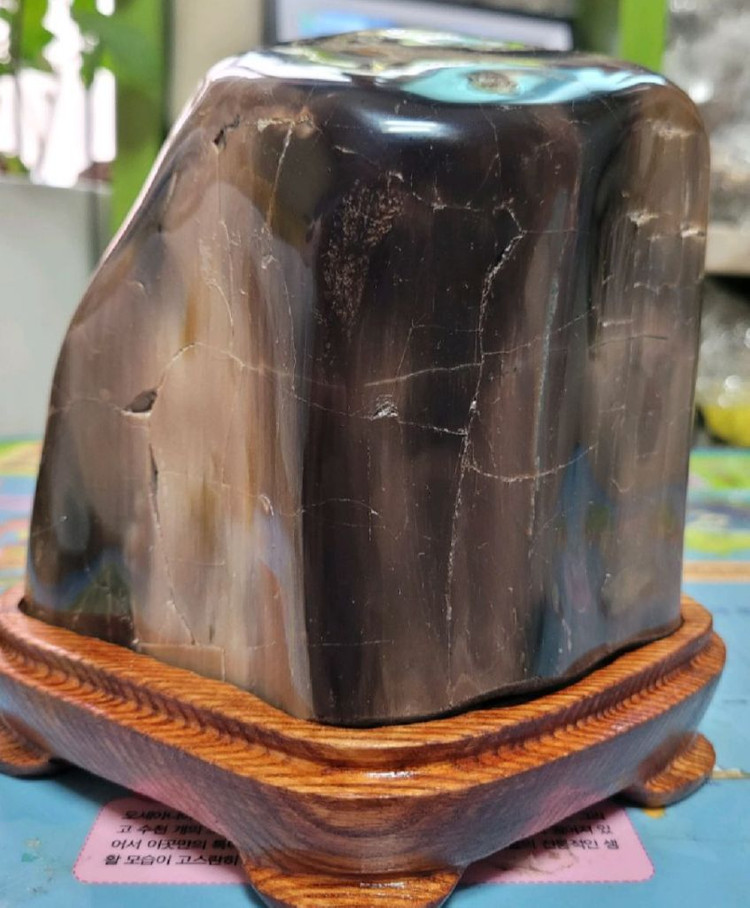 규화목(나무화석)--2