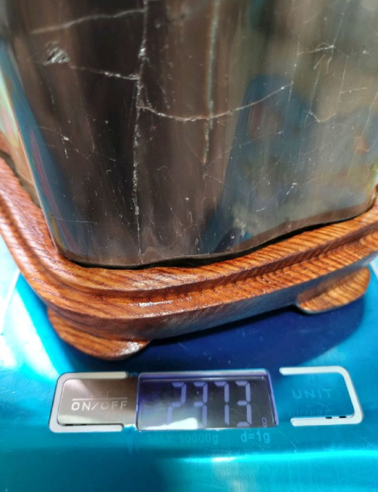 규화목(나무화석)--4