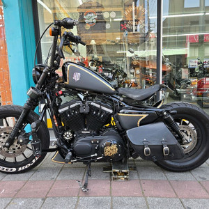 할리데이비슨.아이언.12년 이미지