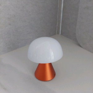 (택포)렉슨 미나 s (오렌지)