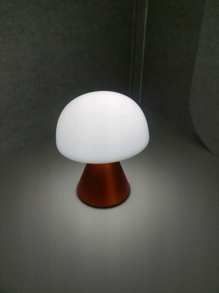 (택포)렉슨 미나 s (오렌지)--1