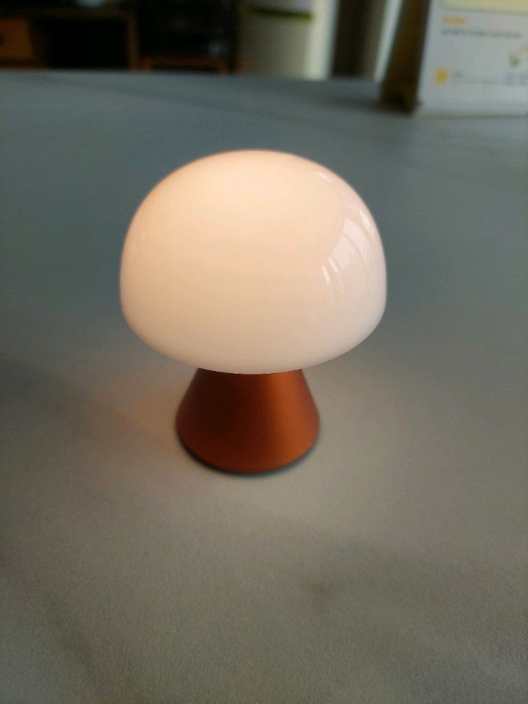 (택포)렉슨 미나 s (오렌지)--2